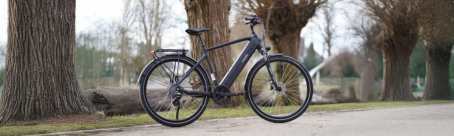 Vollansicht seitlich Prophete Entdecker Trekking E-Bike vor Seekulisse auf Parkweg