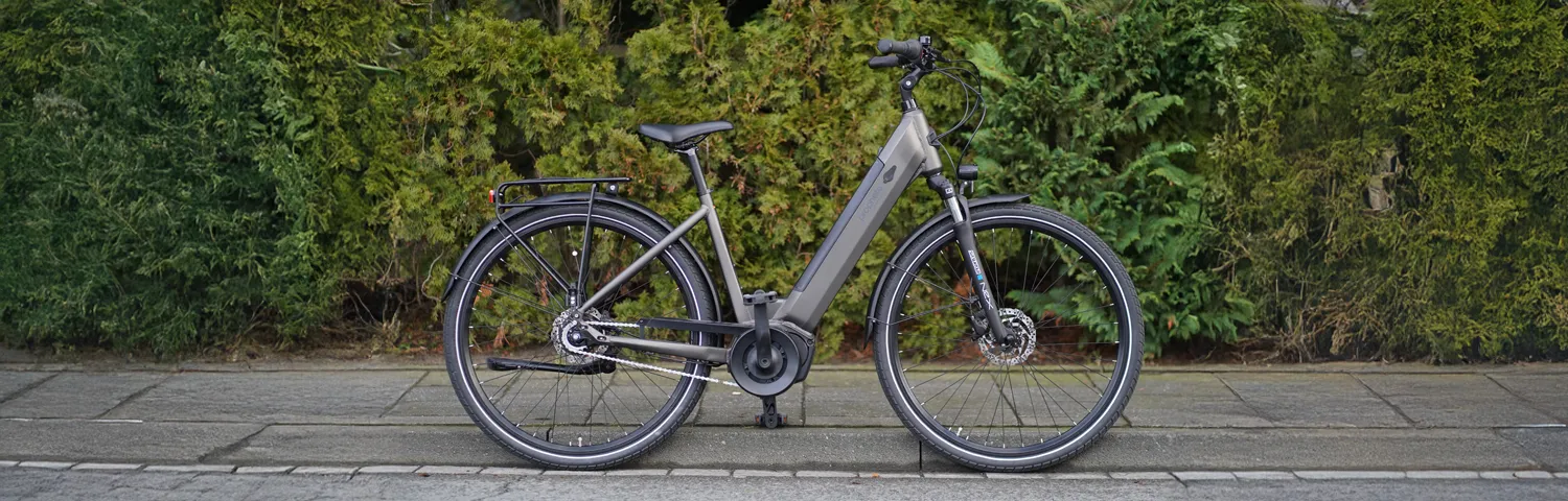 Graues City E‑Bike mit tiefem Einstieg, Gepäckträger und Schutzblechen auf einer gepflasterten Straße vor einer Hecke