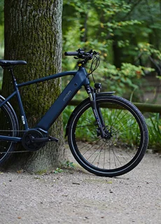 Fahrrad in dunkler Farbe, seitliche Ansicht im Wald auf einem schattigen Weg
