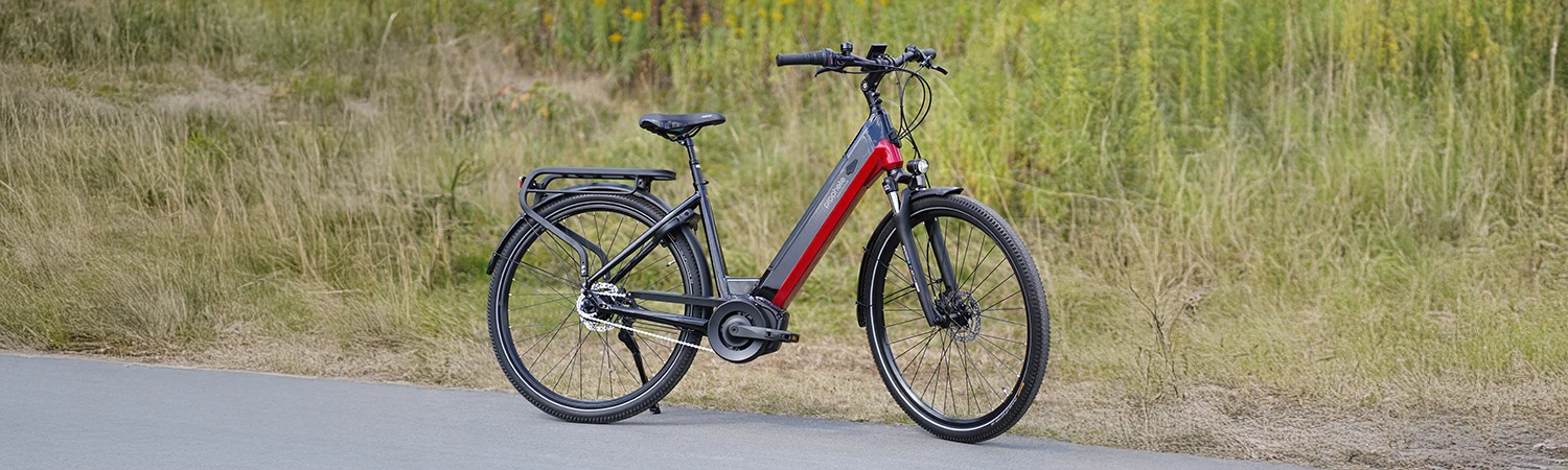 Vollansicht seitlich Prophete Geniesser 4.1 City E-Bike auf asphaltiertem Weg vor Pflanzen im Hintergrund