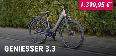 E‑Bike Geniesser 3.3, am Straßenrand vor einer dichten Hecke