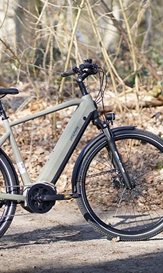 Beiges Entdecker 4.0 E-Bike mit Tiefeinsteiger-Rahmen, Gepäckträger und Frontbeleuchtung, abgebildet auf einem Waldweg im Freien.