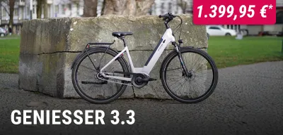 E‑Bike Geniesser 3.3, im Park vor einem großen Steinblock aufgestellt