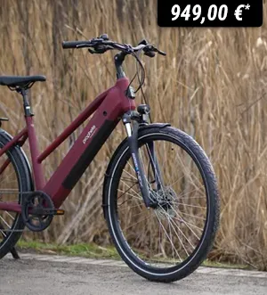 rdeauxfarbenes E-Bike mit Diamantrahmen auf einem Schotterweg vor hohem, trockenem Gras, Preisangabe 949,00 €