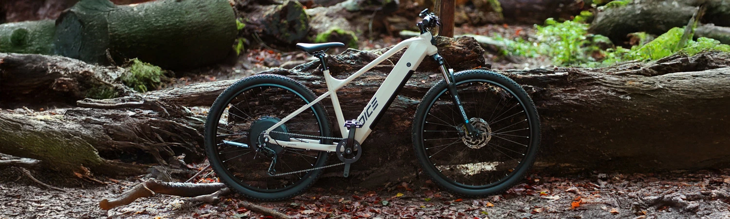 Diagonalansicht Prophete E-MTB DICE auf Pflastersteinen und vor Rasen