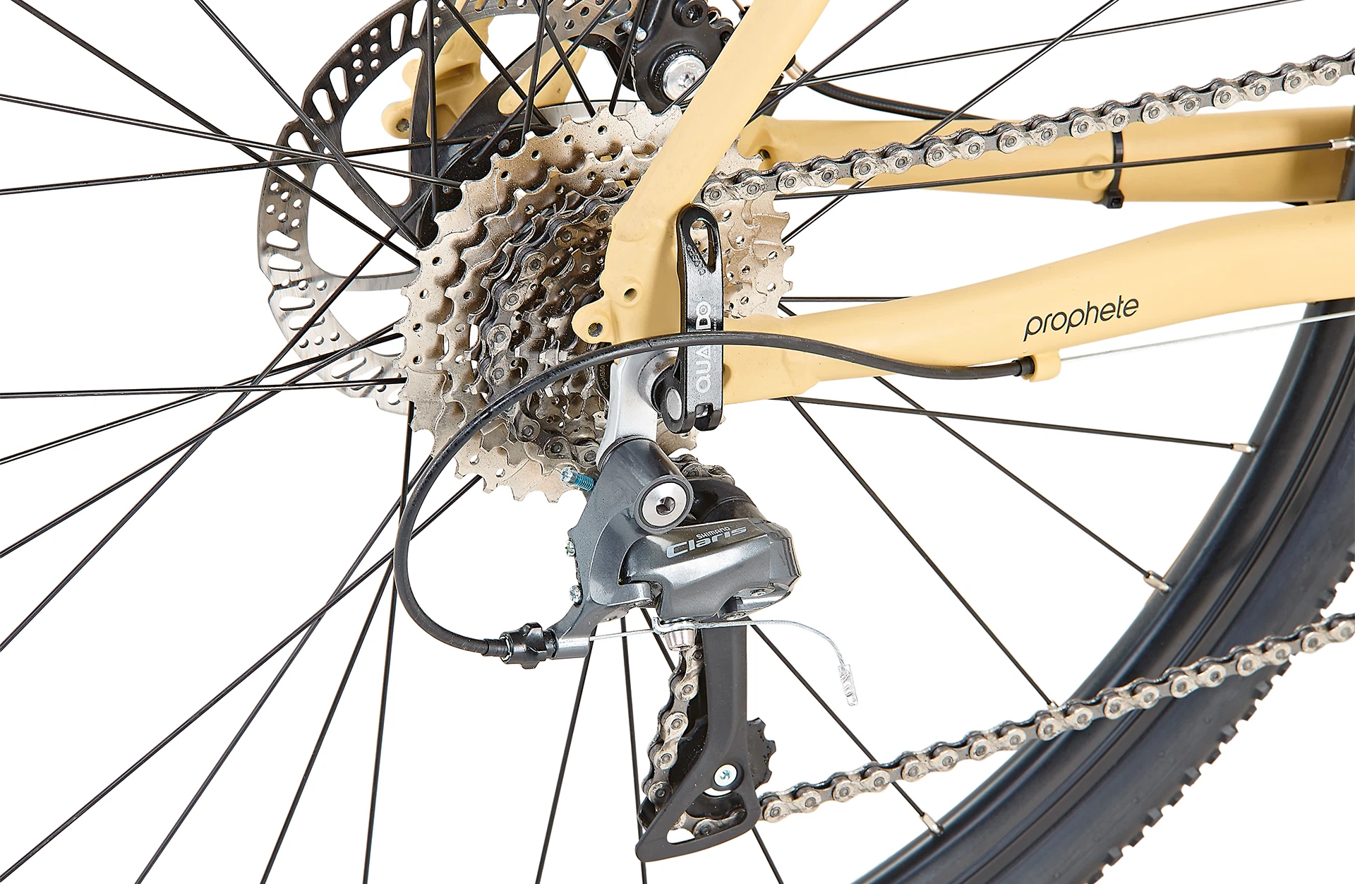 Bildausschnitt Detailansicht Shimano Claris Schaltwerk, Kette, Kassette, Scheibenbremse, Schnellspanner und Prophete Logo auf Rahmen vor weißem Hintergrund