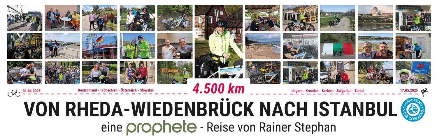 Rainer-Banner