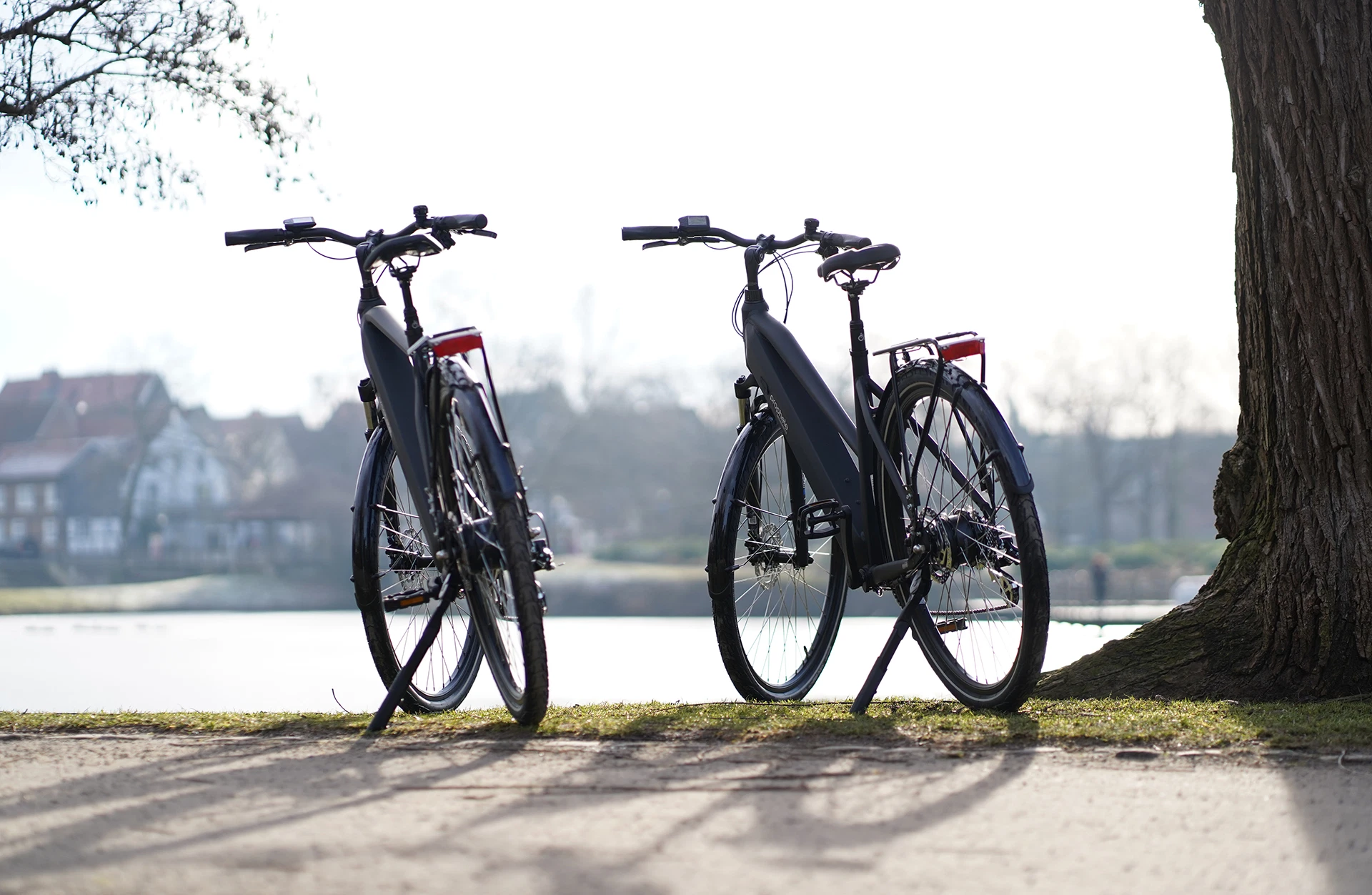 Vollansicht schräg von hinten fotografiert zwei Prophete Entdecker Trekking E-Bikes nebeneinander stehend