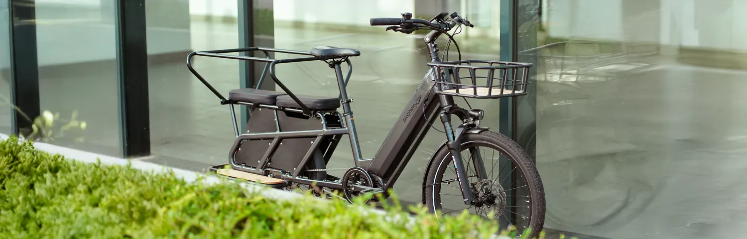 Lastenfahrrad mit Frontkorb und verlängertem Heckträger steht vor einer Glasfassade, im Vordergrund grüne Bepflanzung.