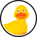 Ente