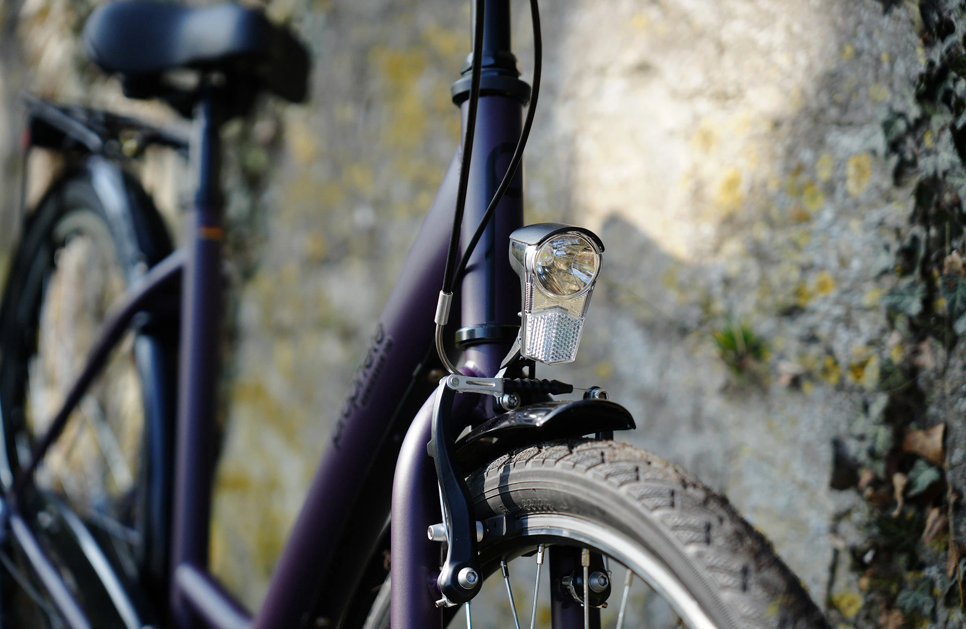 Cityrad lila - Detailansicht Gabel im Freien
