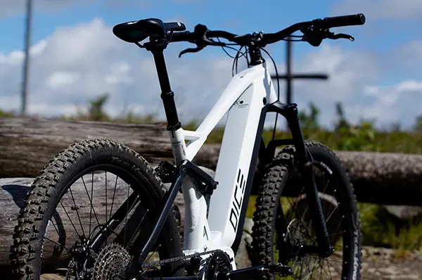 bikepark-dice-02