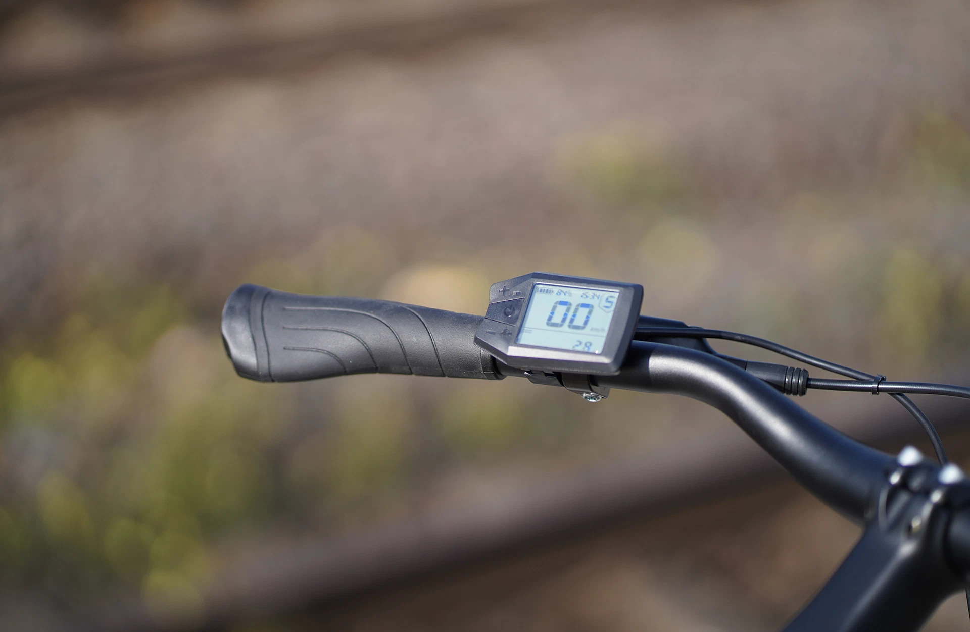 Bildausschnitt Detailansicht linker Lenkergriff mit LCD-Display vor unscharfem Hitnergrund