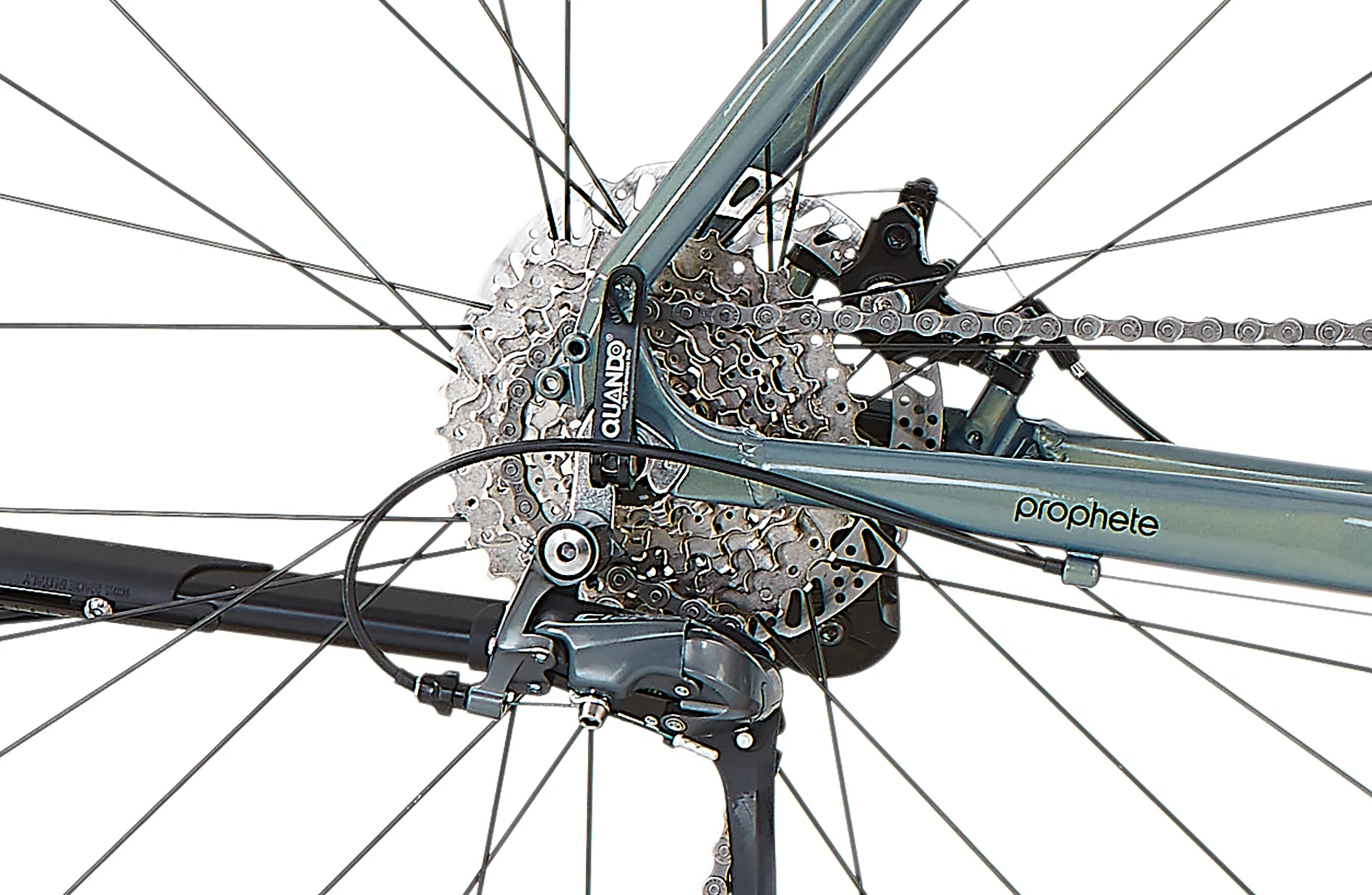 Bildausschnitt Detailansicht Schaltgruppe am Hinterrad mit Prophete Logo am Rahmen vor weißem Hintergrund