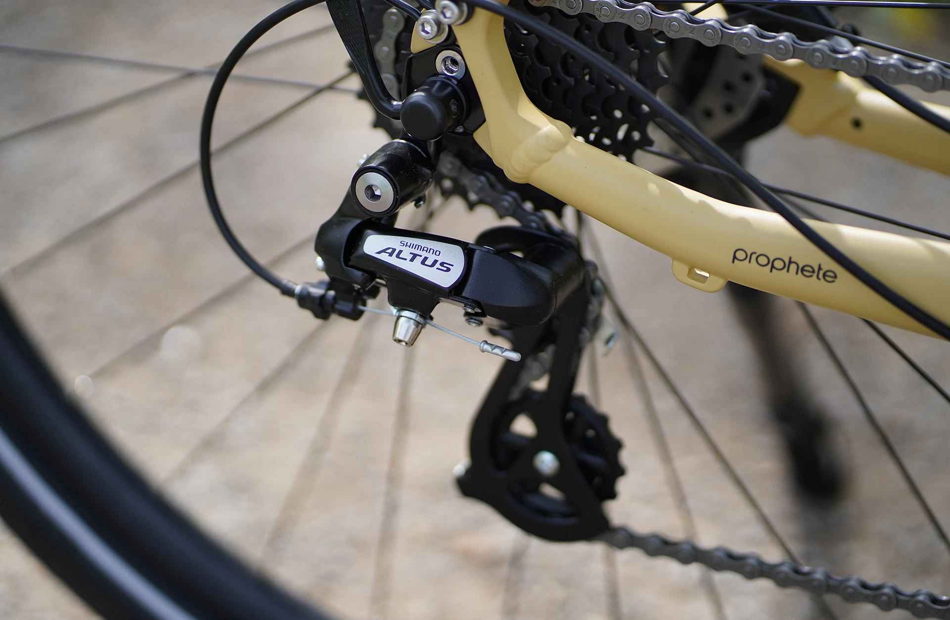 Bildausschnitt Detailansicht Shimano Altus Schaltwerk am Hinterrad vor natürlichem  Hintergrund