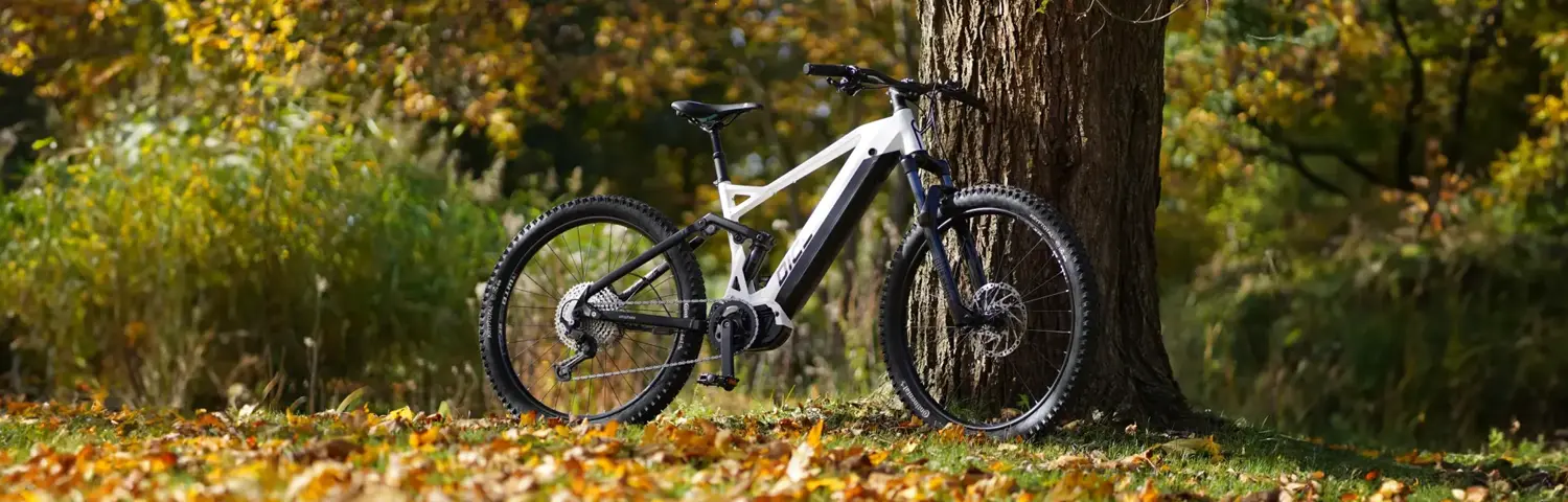 e-mtb-header_1500x480px