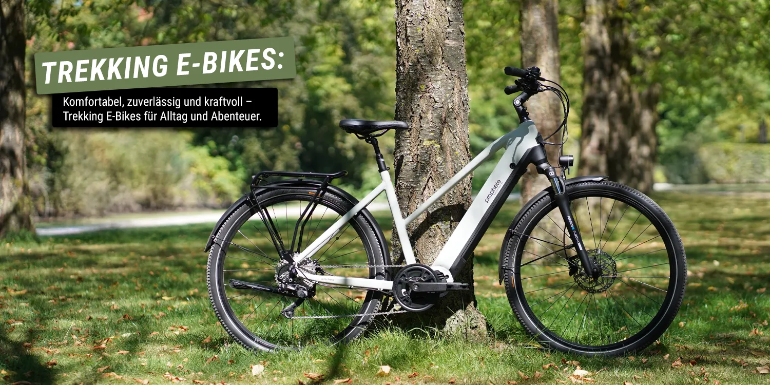 E‑Bike steht im Grünen vor mehreren Bäumen; links im Bild steht der Text ‚TREKKING E‑BIKES: Komfortabel, zuverlässig und kraftvoll – Trekking E‑Bikes für Alltag und Abenteuer.