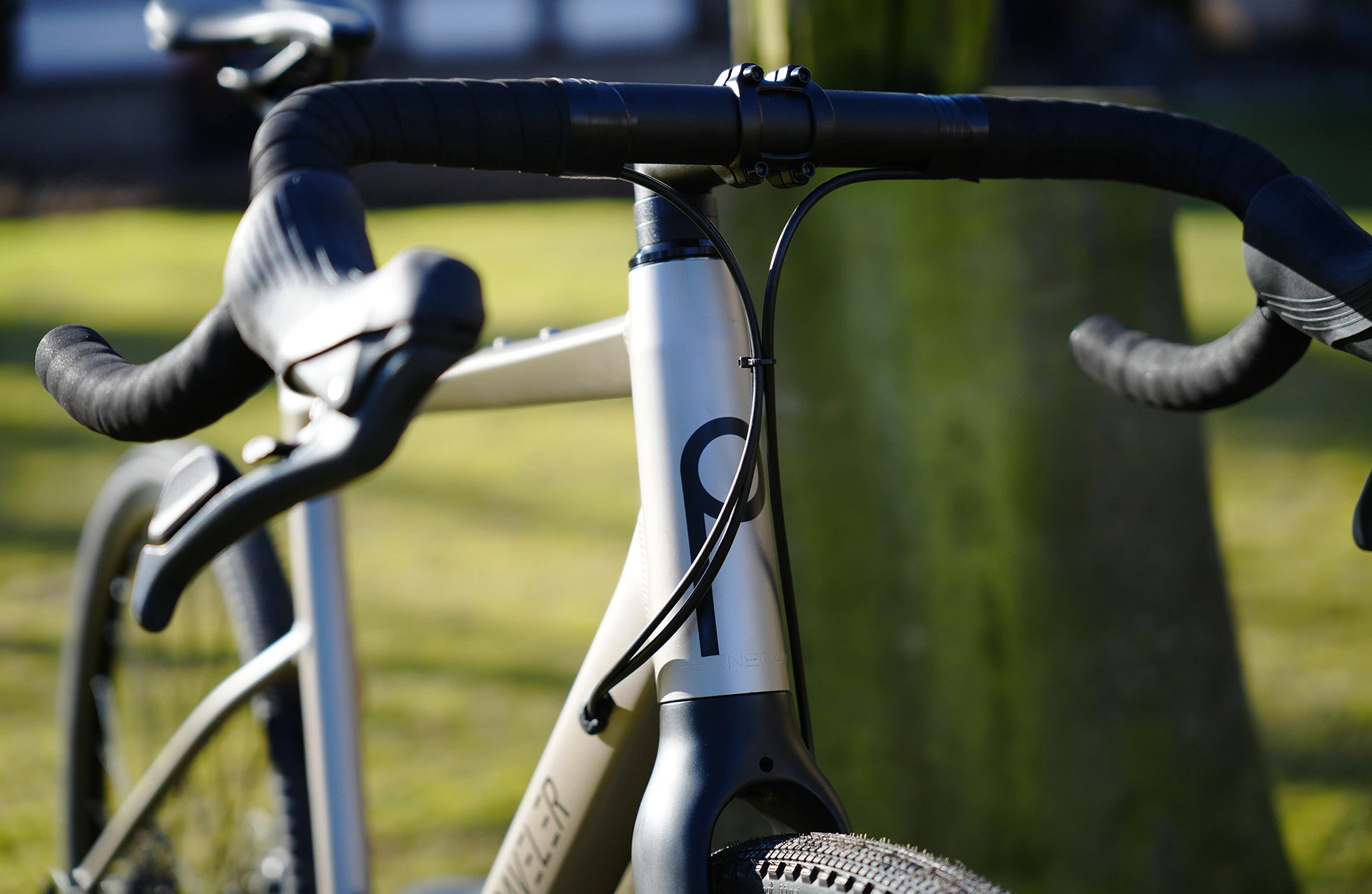 Graveler Gravel Bike - Detailansicht Gabel im Freien