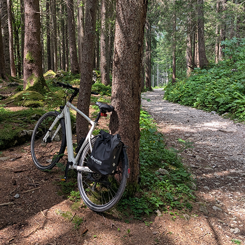 5-Wald
