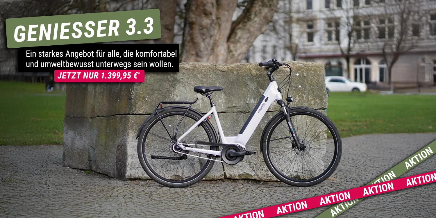 Hell lilanes E‑Bike Geniesser 3.3, im Park vor einem großen Steinblock aufgestellt.