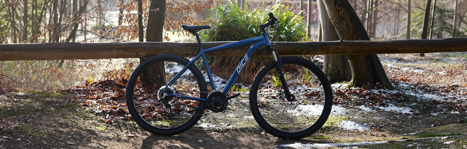 blaues Mountainbike  - Seitenansicht im Wald