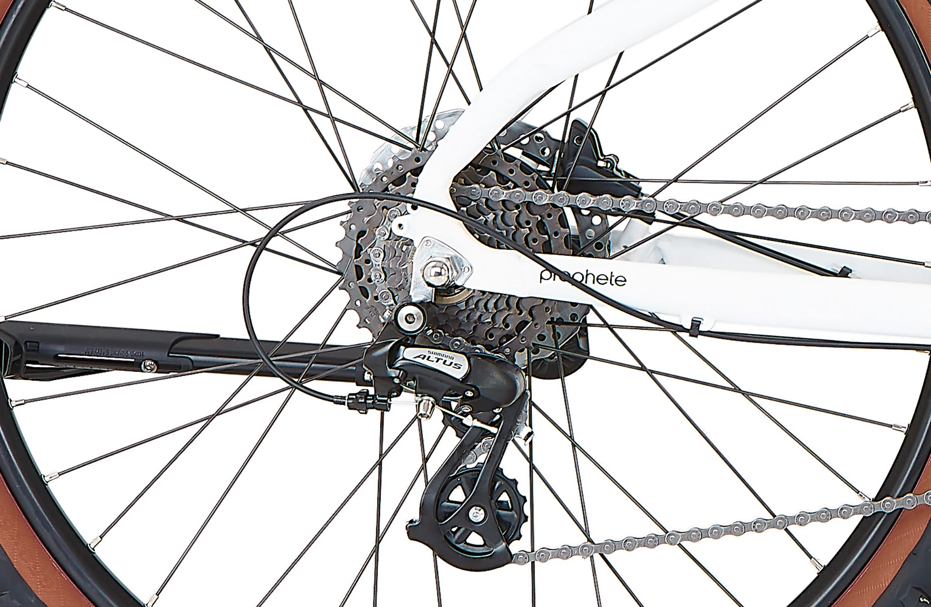 Bildausschnitt Detailansicht Shimano Altus Schaltwerk am Hinterrad vor natürlichem Hintergrund