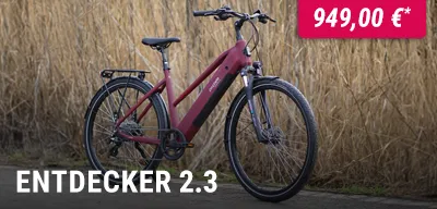 rdeauxfarbenes E-Bike mit Diamantrahmen auf einem Schotterweg vor hohem, trockenem Gras, Preisangabe 949,00 €