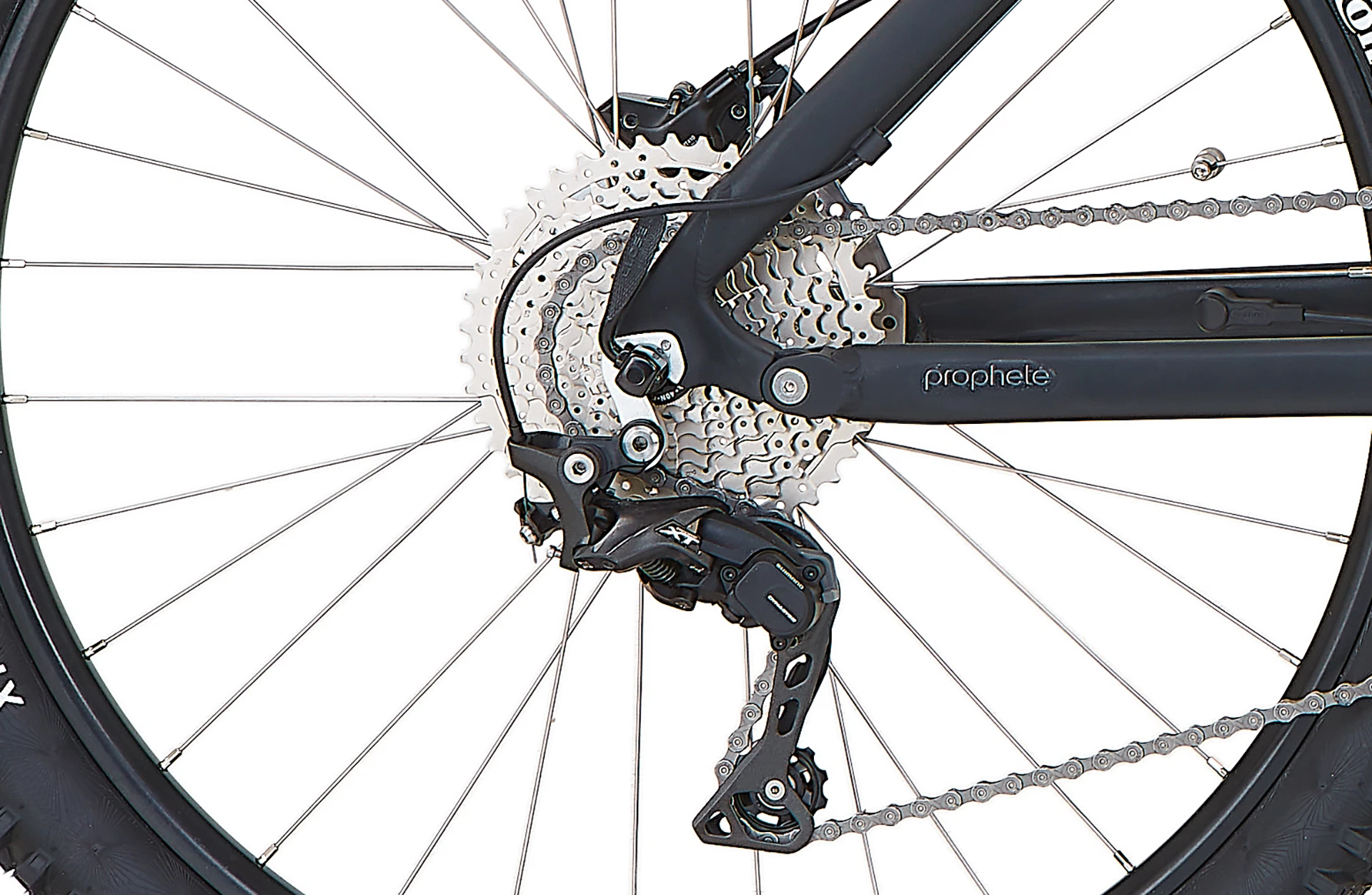 Bildausschnitt Detailansicht Shimano Deore XT Schaltwerk am Hinterrad vor natürlichem Hintergrund