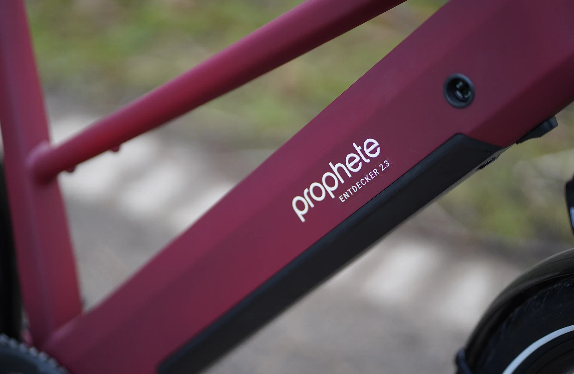 Bildausschnitt Detailansicht Unterrohr Prophete Entdecker 2.3 mit Logo vor unscharfem Hintergrund