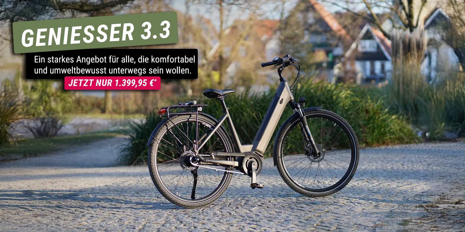 E-Bike Geniesser 3.3 in Bronze steht auf einem gepflasterten Weg in parkähnlicher Umgebung