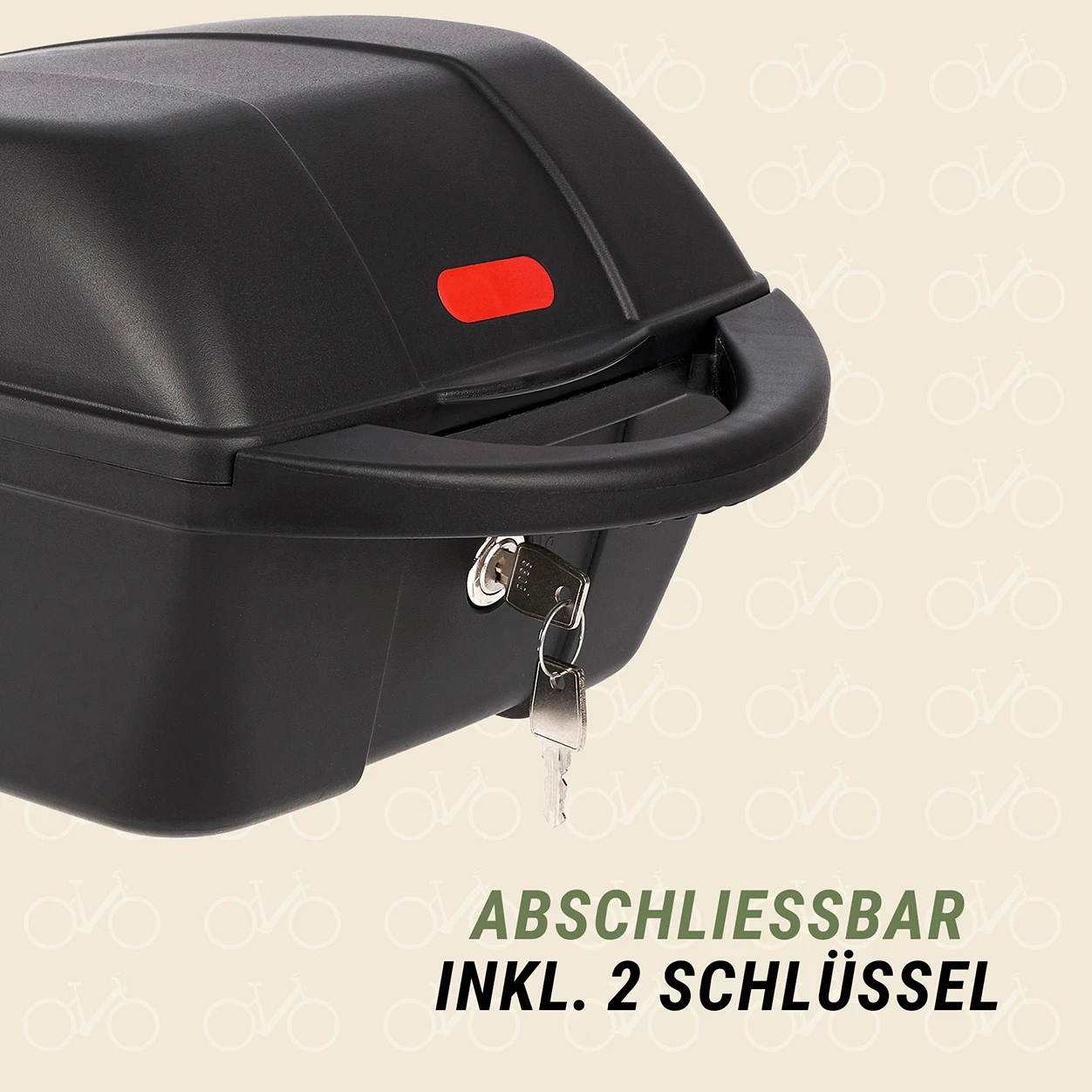Gepäckbox