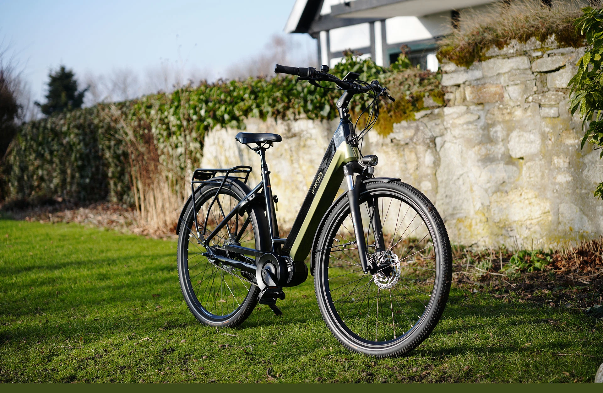 Geniesser 6.0 City E-Bike - stehen vor einer Mauer auf einer Wiese