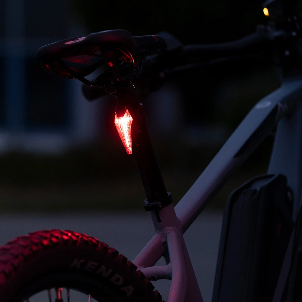 Leuchtende rote LED-Rückleuchte an der Sattelstütze eines Prophete E-Bikes mit Kenda-Reifen bei Nacht.