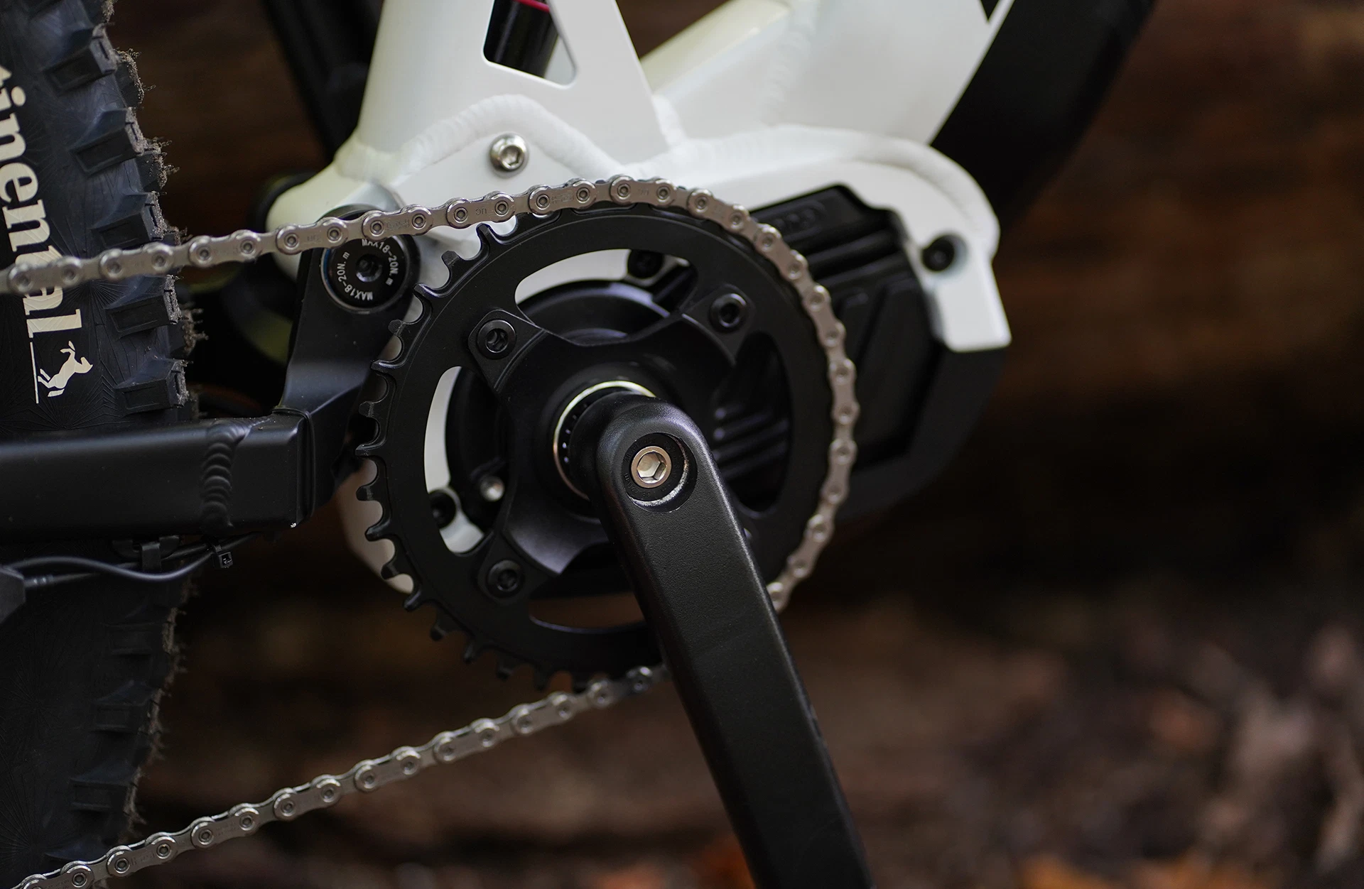 Bildausschnitt Kettenblatt mit robuster Kurbelgarnitur und präziser Kettenführung vor waldigem Untergrund