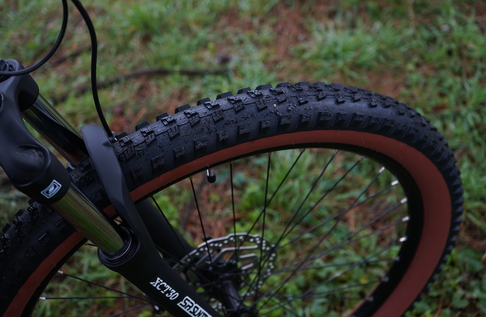 Vorderrad Prophete E-MTB Vogelperspektive mit großem Profilreifen, brauner Seitenwand, Federgabel und Scheibenbremse