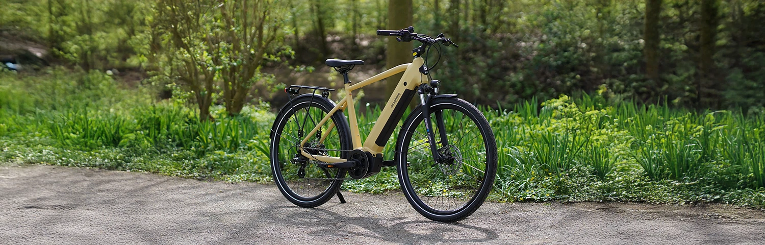 Vollansicht leicht schräg Prophete Entdecker 3.4 Trekking E-Bike mit Diamantrahmen vor Parkkulisse