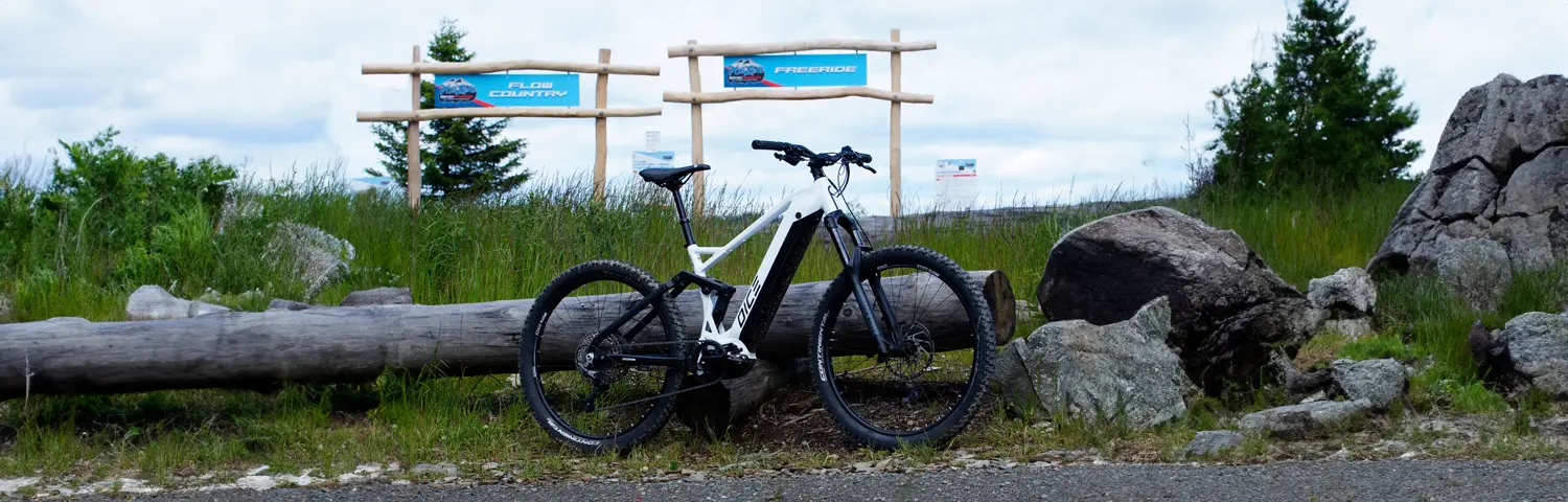 bikepark-dice-header_1500x480px