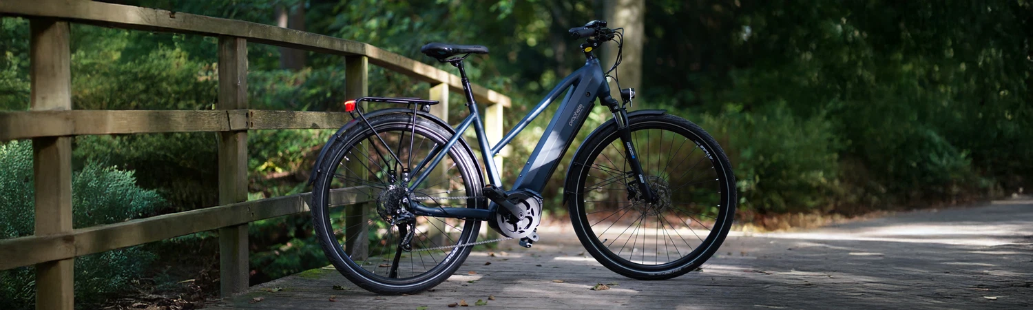 Vollansicht seitlich Prophete Entdecker 3.0 Trekking E-Bike mit Trapezrahmen auf Brücke mit Geländer und Büschen im Hintergrund