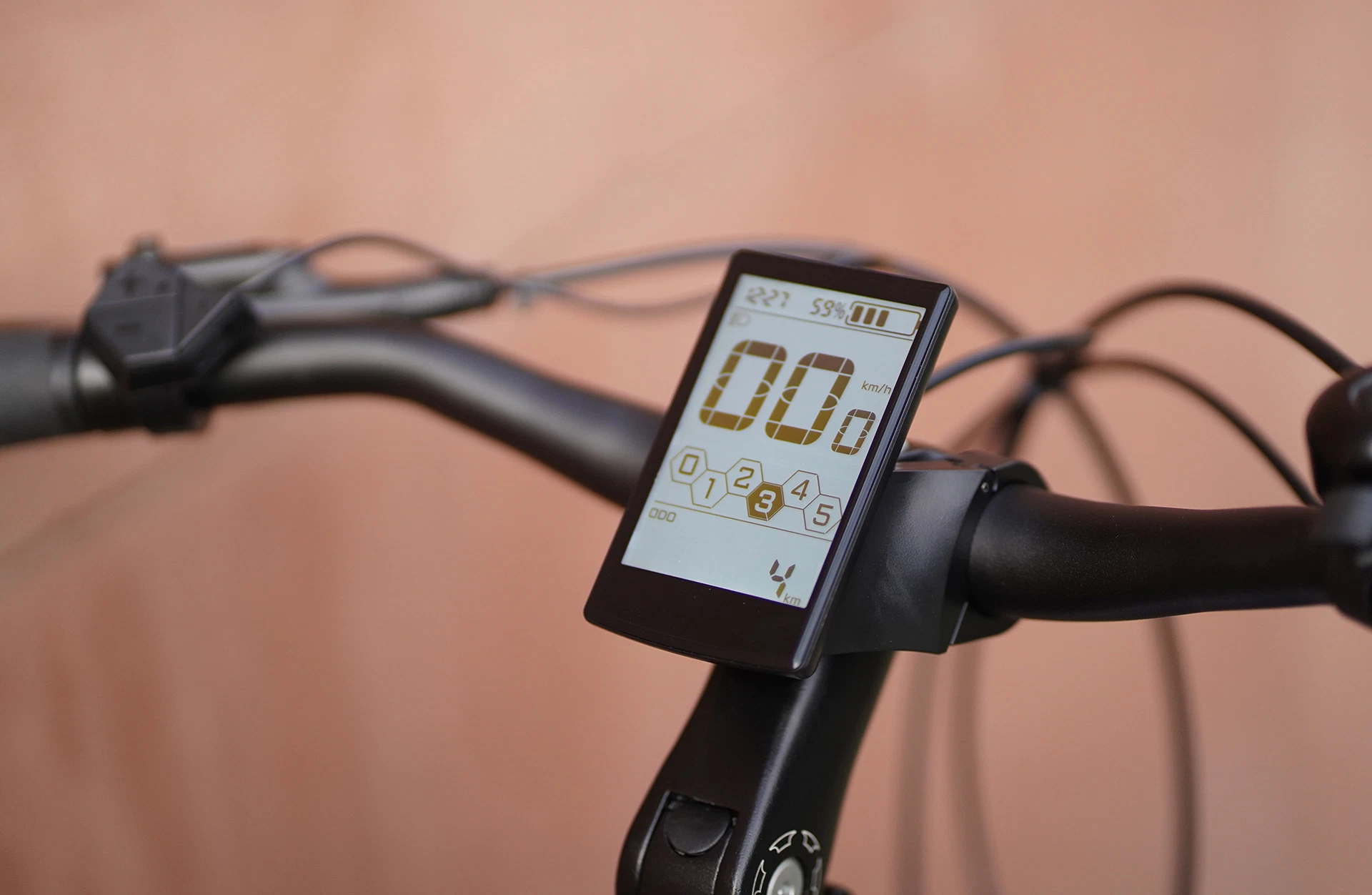 Geniesser 3.3 City E-Bike - Detailansicht Display im Freien