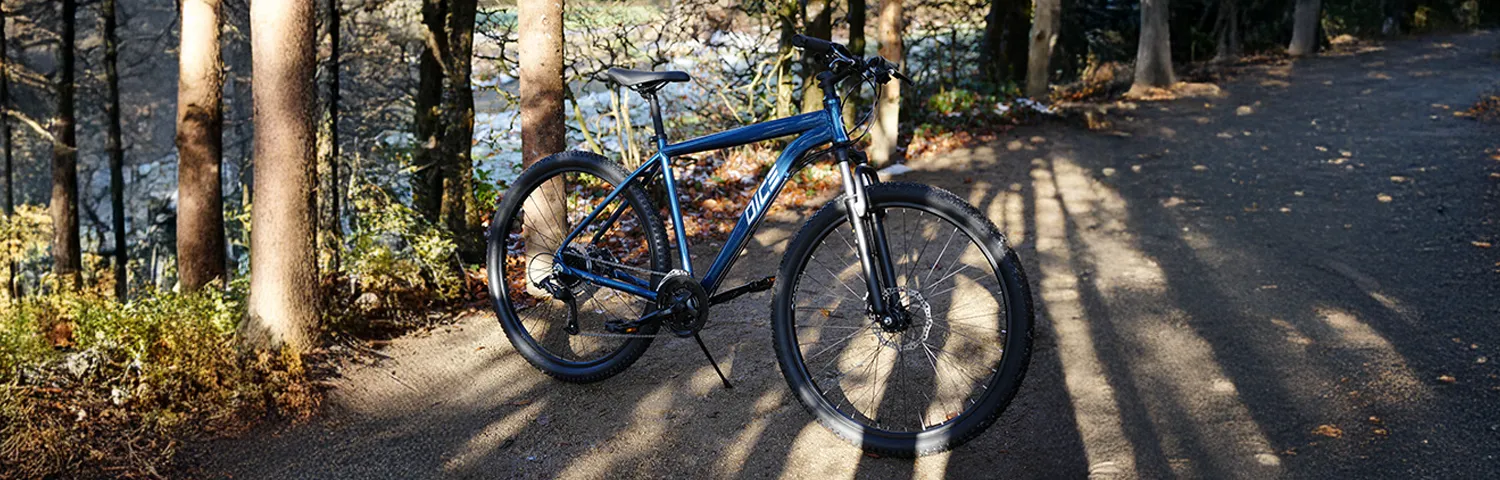 Mountainbike auf Waldweg im lichtdurchfluteten Wald positioniert