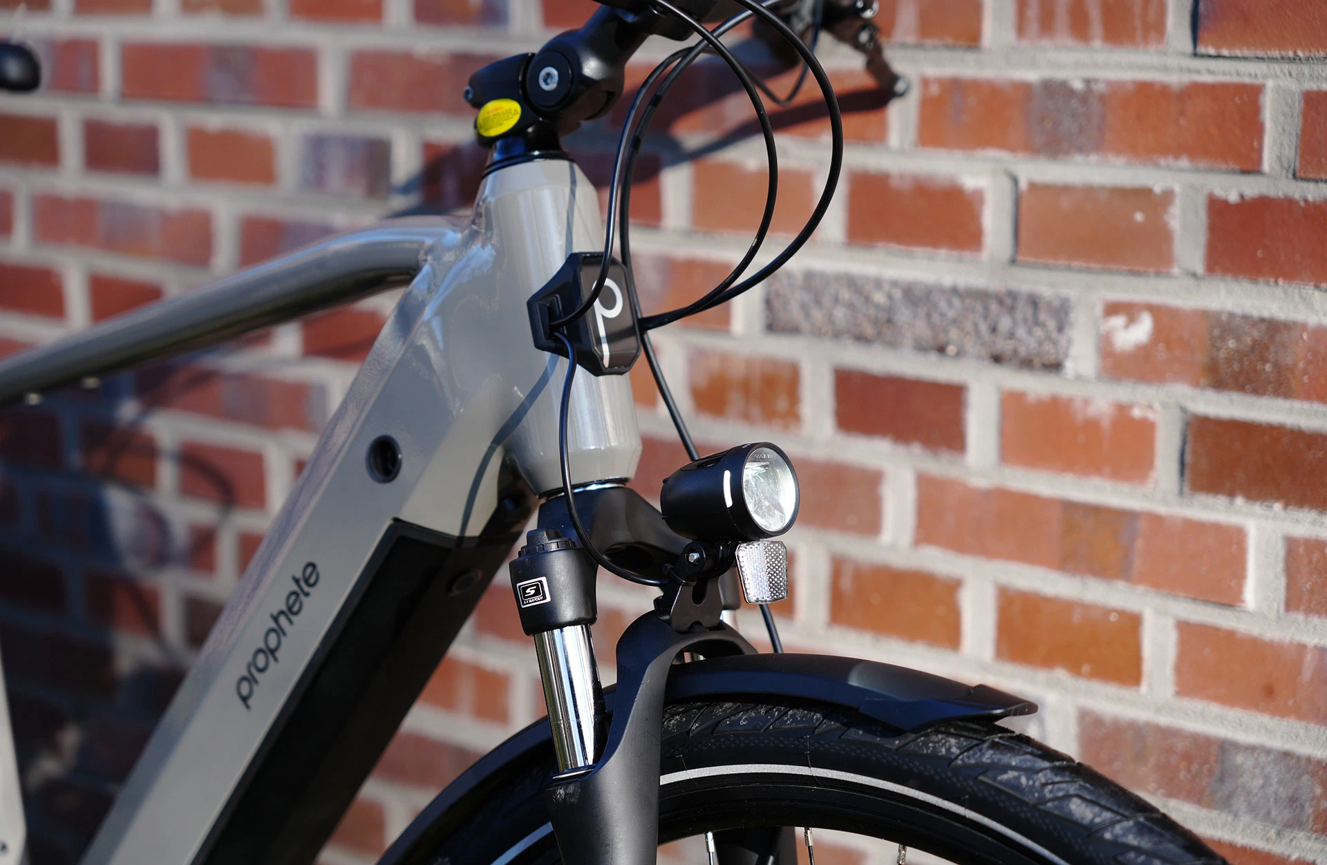Entdecker 3.0 Trekking E-Bike - Detailansicht von vorne im Freien
