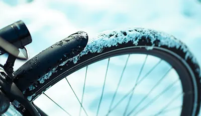 Prophete Wintercheck - Direkt bei dir vor Ort