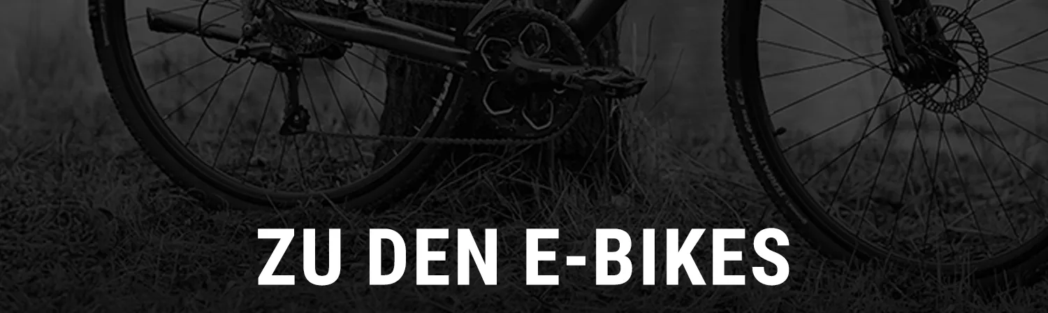 zu-den-e-bikes